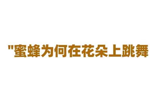 "蜜蜂为何在花朵上跳舞？"